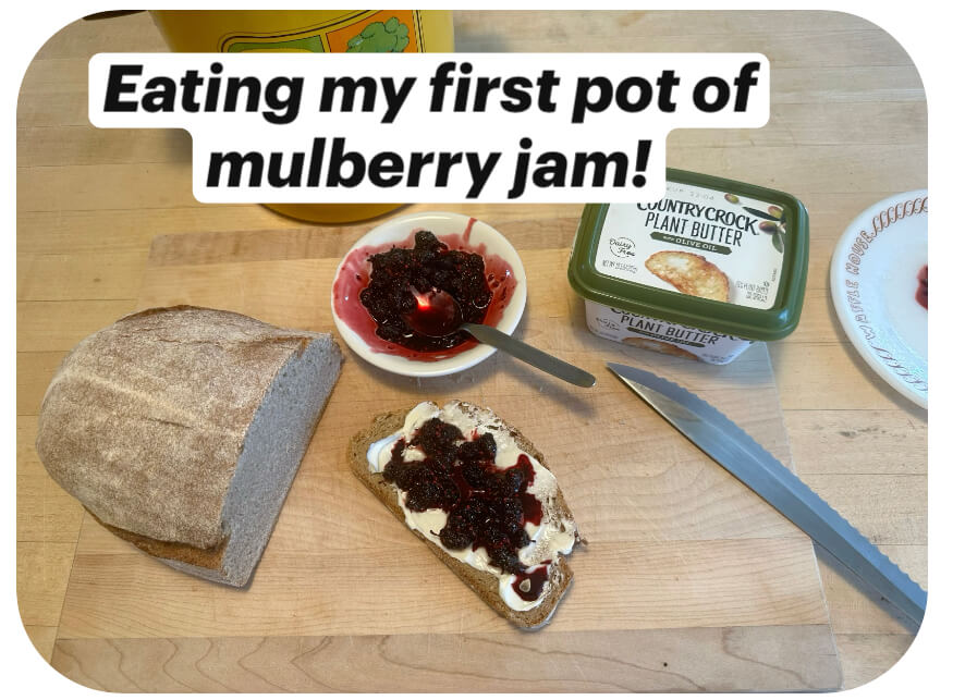 vegan toast butter and foraged mulberry jam diy